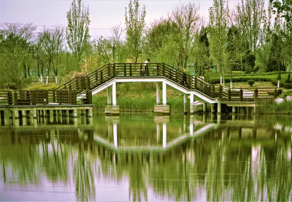 公園内の美しい池 — ストック写真