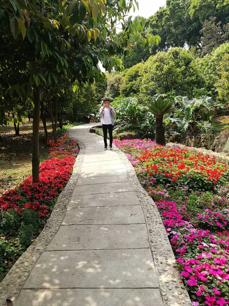 Mujer Caminando Parque Con Flores — Foto de Stock