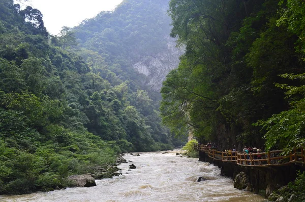 Río Montaña Bosque — Foto de Stock