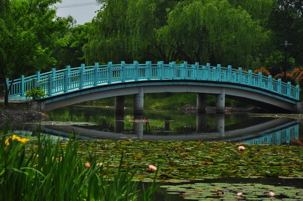 Hermosa Vista Del Parque Ciudad — Foto de Stock