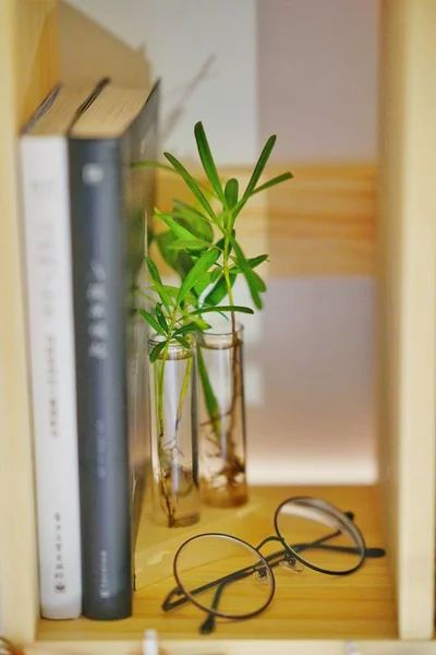 close up of a desk with a plant on a table