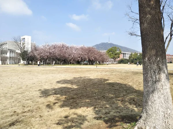 Hermosa Vista Del Parque — Foto de Stock