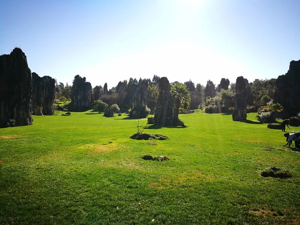 Vista Panorámica Del Hermoso Paisaje Verde — Foto de Stock