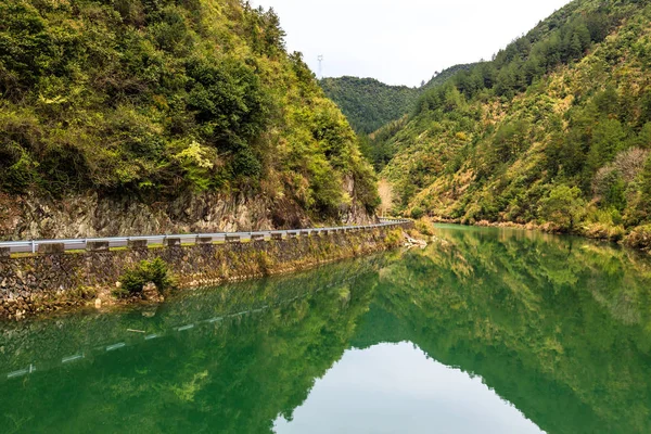 Pintoresca Vista Del Hermoso Lago Bosque — Foto de Stock