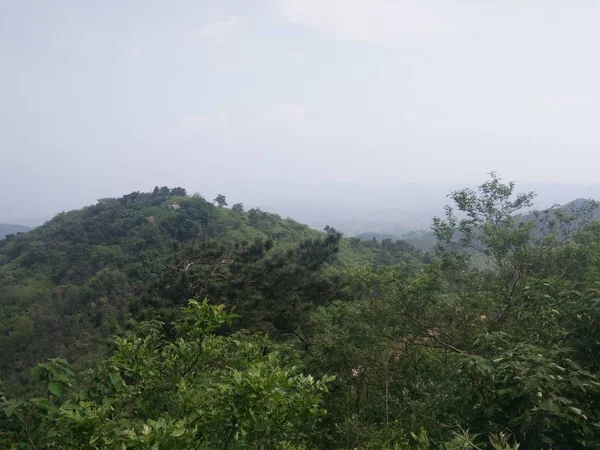 Vista Del Hermoso Paisaje Montaña Con Vegetación — Foto de Stock