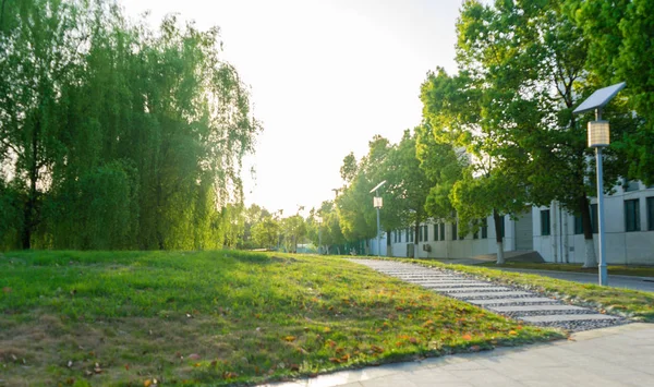 Hermoso Parque Ciudad — Foto de Stock