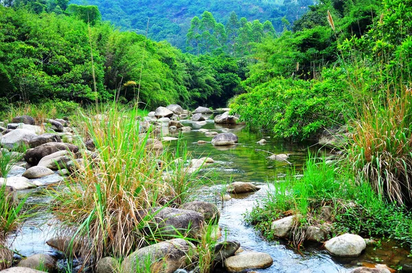 Pintoresca Vista Del Río Montaña Bosque — Foto de Stock