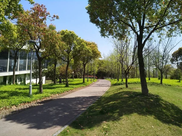 Hermosa Vista Del Parque Ciudad — Foto de Stock