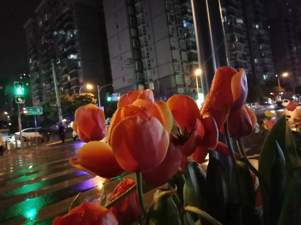 colorful umbrellas in the city