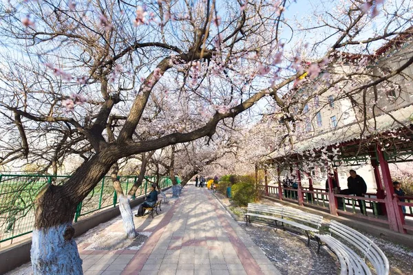 Hermosa Vista Ciudad Japonesa — Foto de Stock