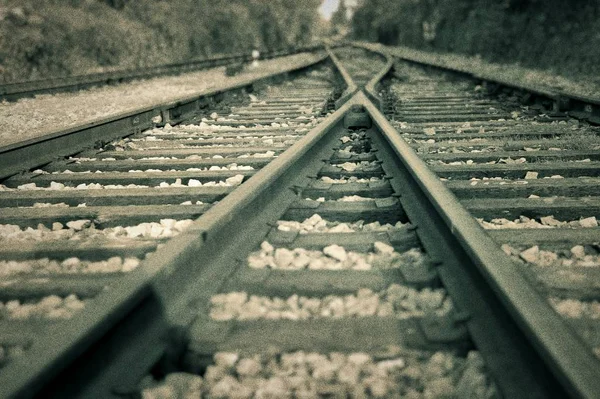 Railroad Tracks Forest — Stock Photo, Image