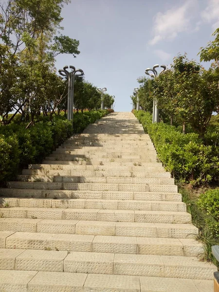 Caminar Por Parque — Foto de Stock