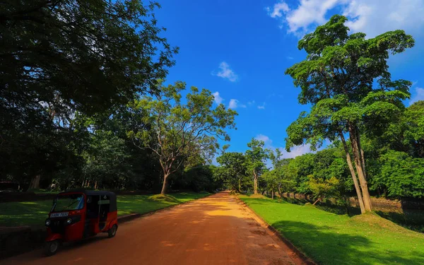 Belo Jardim Verde Parque — Fotografia de Stock