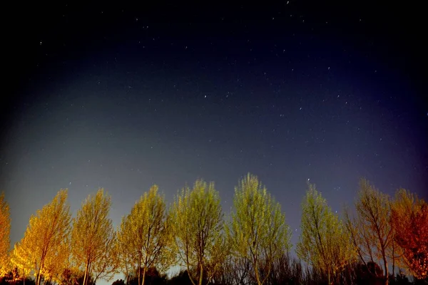 Cielo Nocturno Con Estrellas Estrellas — Foto de Stock