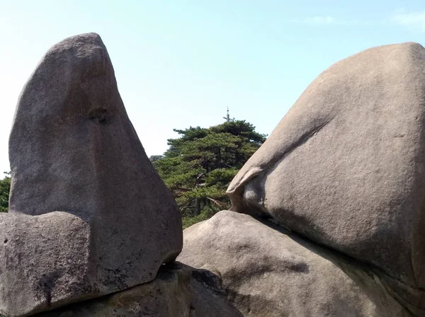 Una Vista Una Estatua León Sobre Una Roca — Foto de Stock