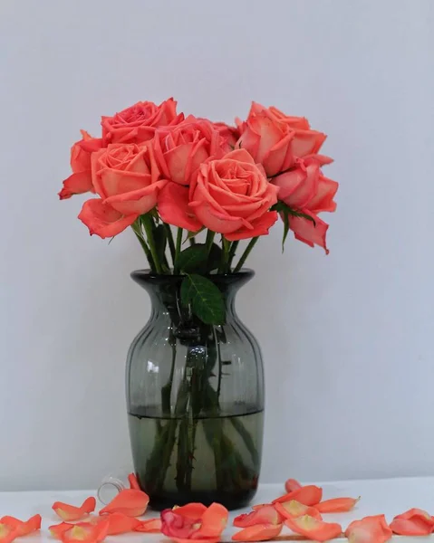 Vista Cerca Rosas Rojas — Foto de Stock