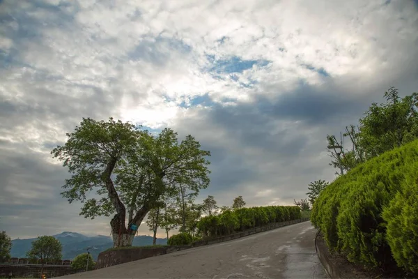 beautiful road in the park.