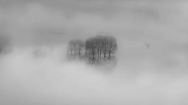 Fundo Preto Branco Com Neve — Fotografia de Stock