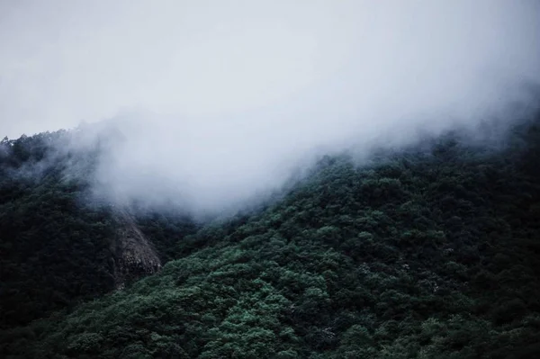 Paisaje Montaña Con Árboles Concepto Naturaleza — Foto de Stock