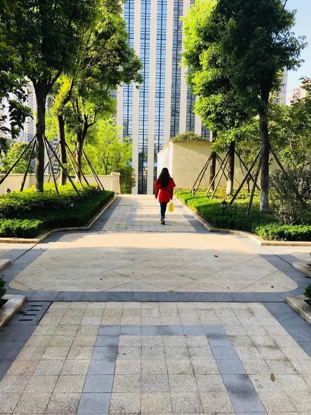 Mujer Caminando Parque — Foto de Stock