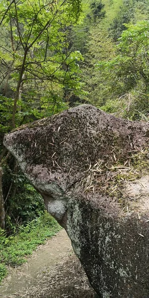 Camino Jardín — Foto de Stock