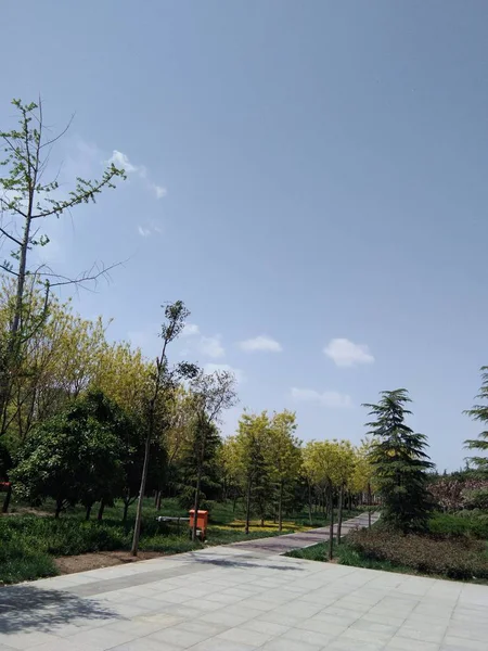 Camino Río Parque — Foto de Stock