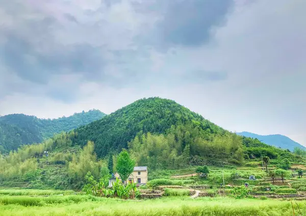 Paisaje Montaña Con Hierba Verde Cielo Azul — Foto de Stock