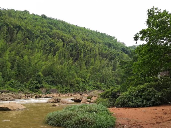 Vista Panorámica Del Hermoso Paisaje Verde — Foto de Stock