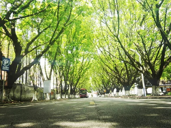 Parque Ciudad Los Países Bajos — Foto de Stock