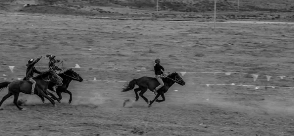 Black White Image Horse Riding Road — Stock Photo, Image