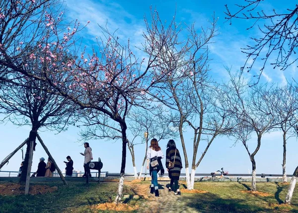 Pareja Joven Parque Primavera — Foto de Stock