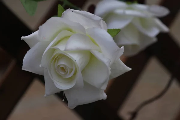 Hermoso Ramo Boda Rosas — Foto de Stock