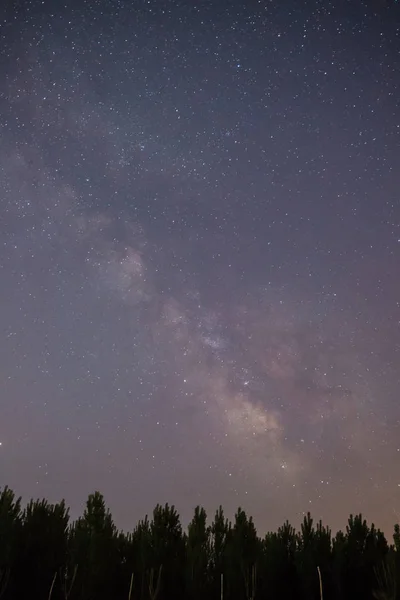 Stelle Scintillanti Nebulosa Spaziale Cielo Stellato Notturno — Foto Stock