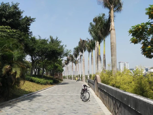 Hermosa Vista Del Parque — Foto de Stock