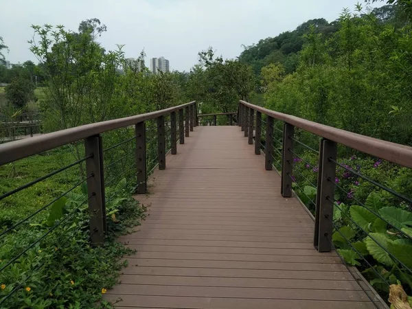 Vista Del Camino Vacío — Foto de Stock