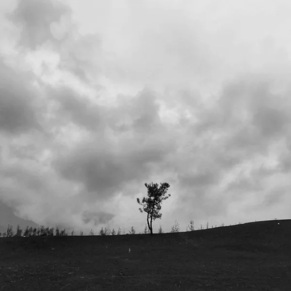 field landscape and sky with clouds