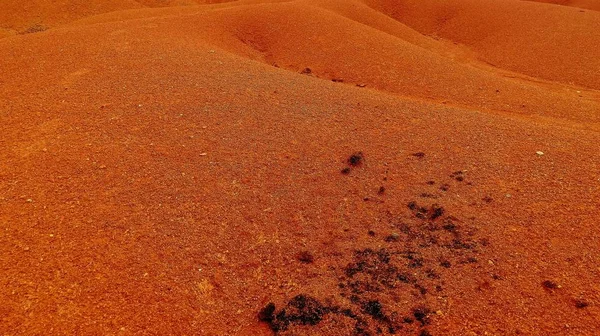 Schöne Sahara Auf Natürlichem Hintergrund — Stockfoto