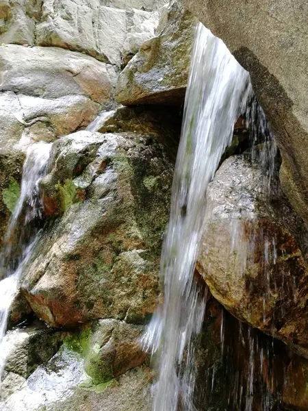 waterfall and rocks in the forest