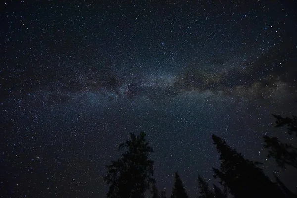 Estrellas Centelleantes Nebulosa Espacial Cielo Nocturno Estrellado — Foto de Stock