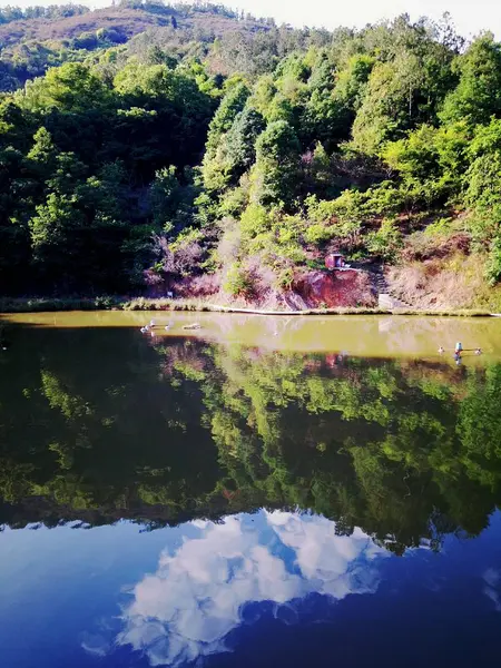 Reflejo Del Río Parque — Foto de Stock