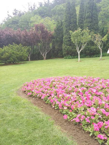 Schöner Garten Park — Stockfoto