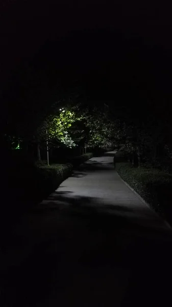 Camino Noche — Foto de Stock