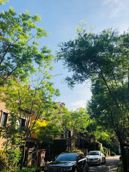 Hermosa Vista Del Parque Ciudad Verano — Foto de Stock