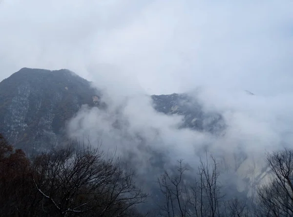 beautiful view of the mountain mist in the fog