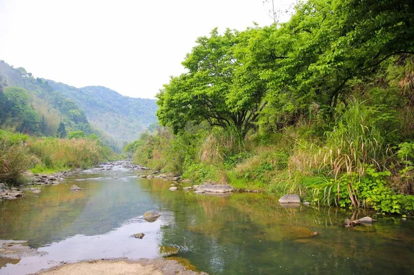 Naturaleza Con Árboles Río — Foto de Stock