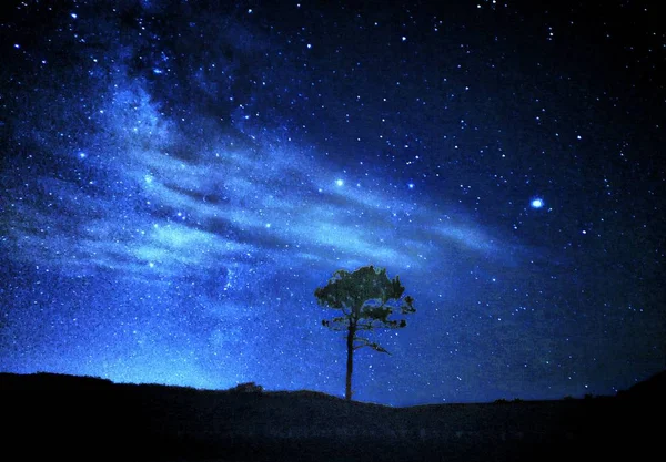 Cielo Nocturno Con Estrellas Luna — Foto de Stock