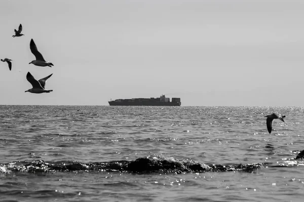 美丽的海景 自然背景 — 图库照片