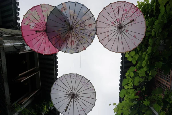 traditional japanese umbrella in the city of thailand