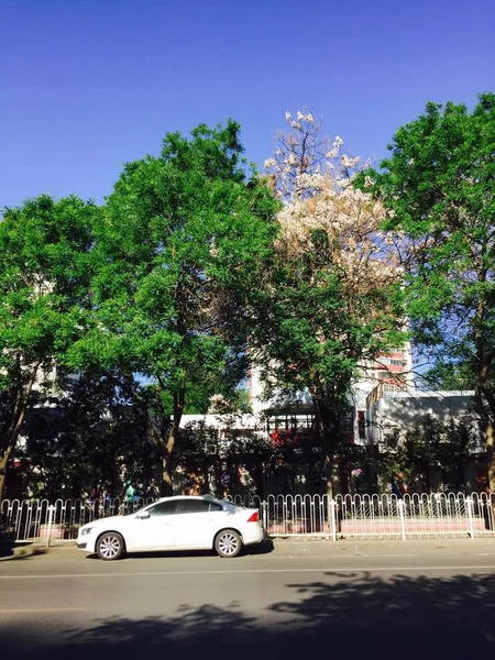 Hermosa Vista Del Parque Ciudad Por Mañana — Foto de Stock