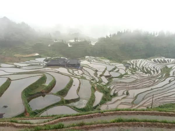 Desenfoque Filipinas Terraza Campo Para Coultivation Arroz Banaue Unesco Sitio — Foto de Stock